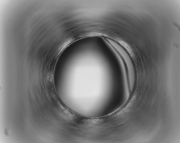 X0000096211193200801251028