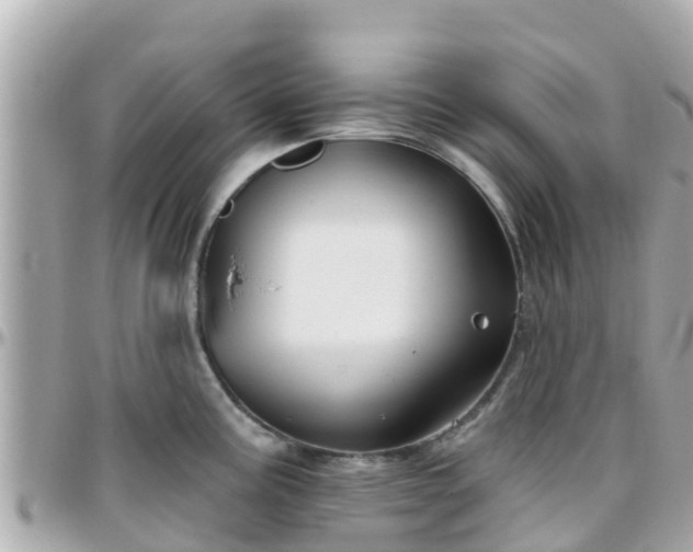 X0000096211195200801251028