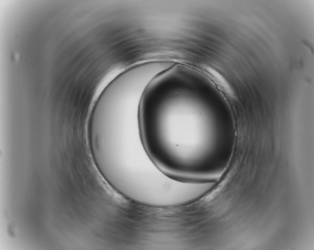 X0000096211196200801251027