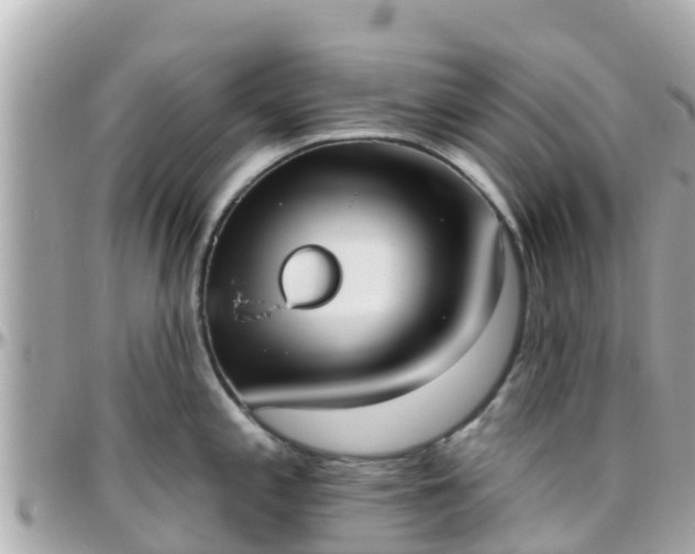 X0000096211197200801251027