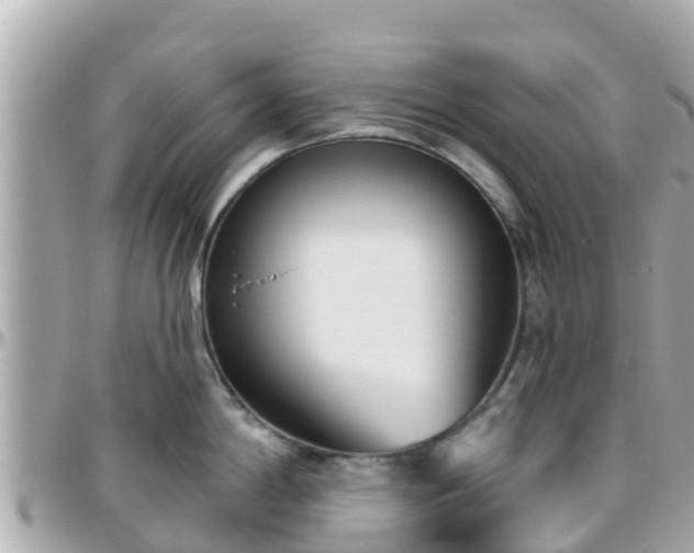 X0000096211198200801251027