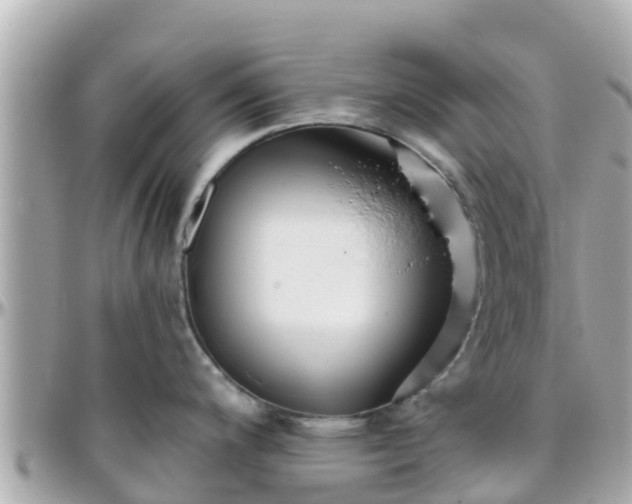 X0000096211200200801251027