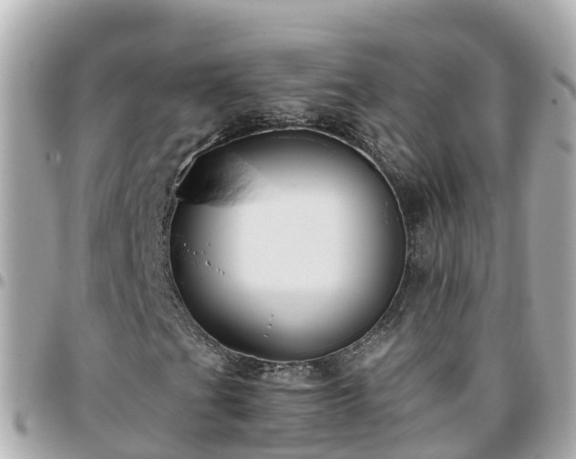 X0000096211201200801251027