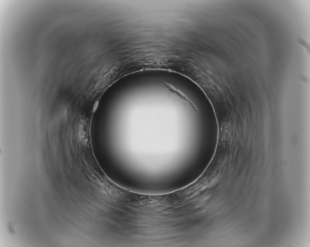 X0000096211202200801251027