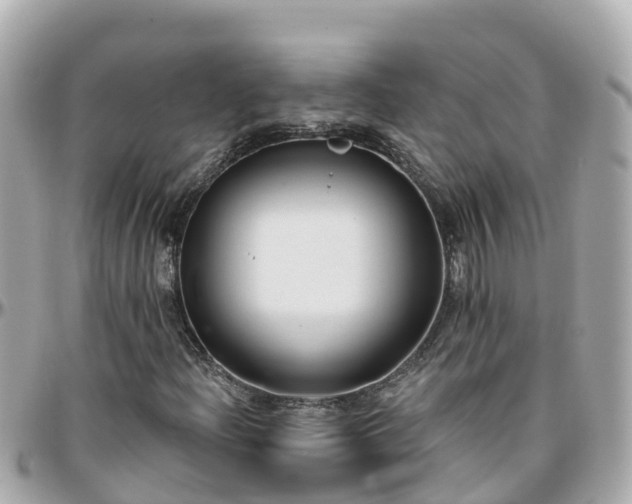 X0000096211204200801251027