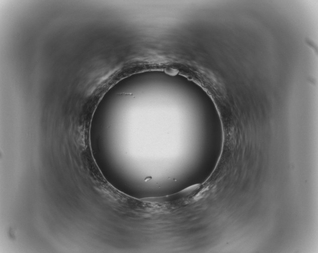 X0000096211205200801251027