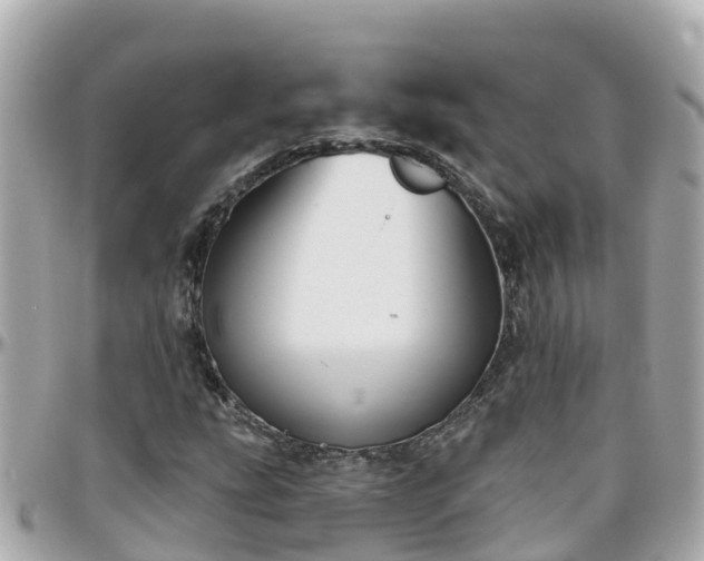 X0000096211207200801251027