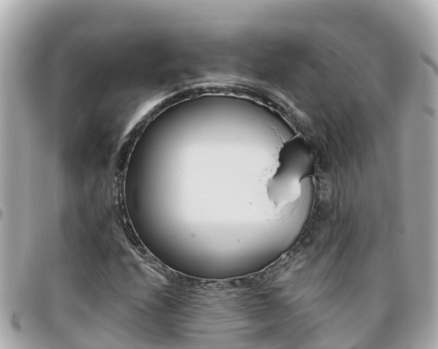 X0000096211208200801251027