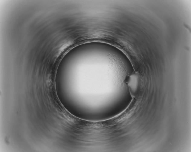 X0000096211210200801251027