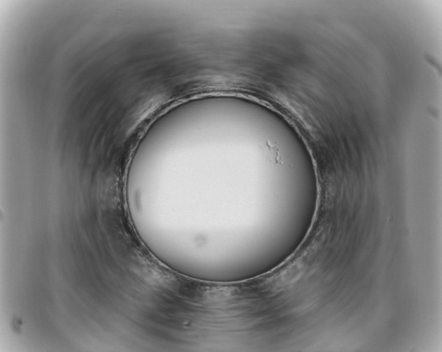 X0000096211211200801251027