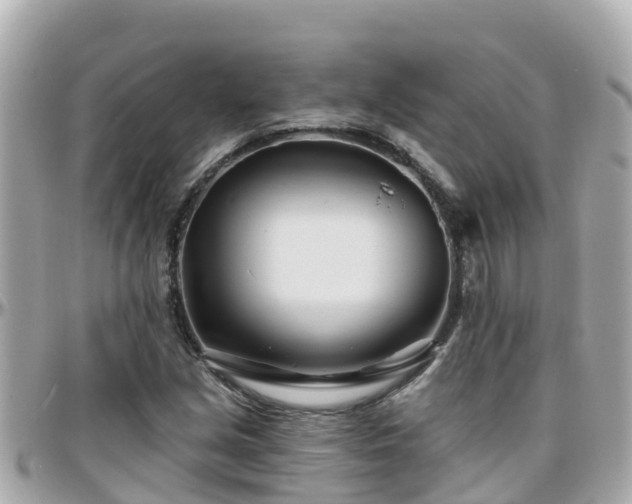 X0000096211213200801251027