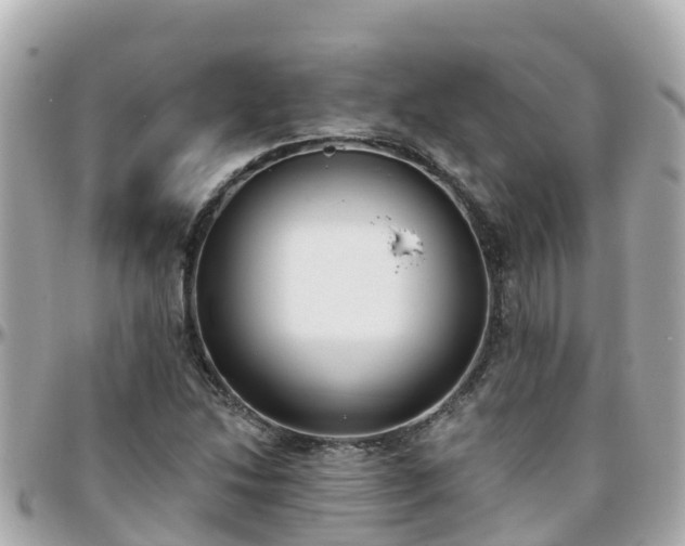 X0000096211214200801251027