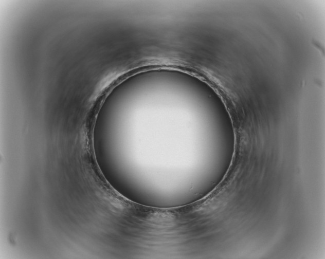 X0000096211215200801251027