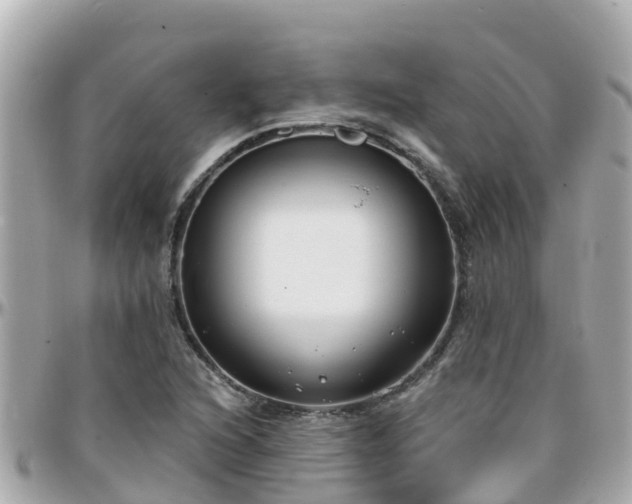 X0000096211216200801251027