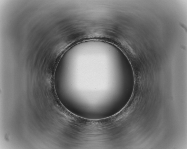 X0000096211217200801251027