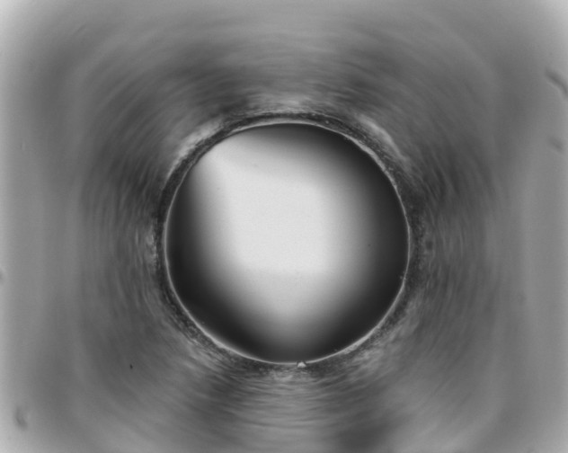 X0000096211218200801251027