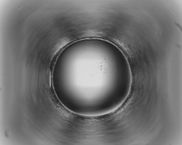 X0000096211219200801251027