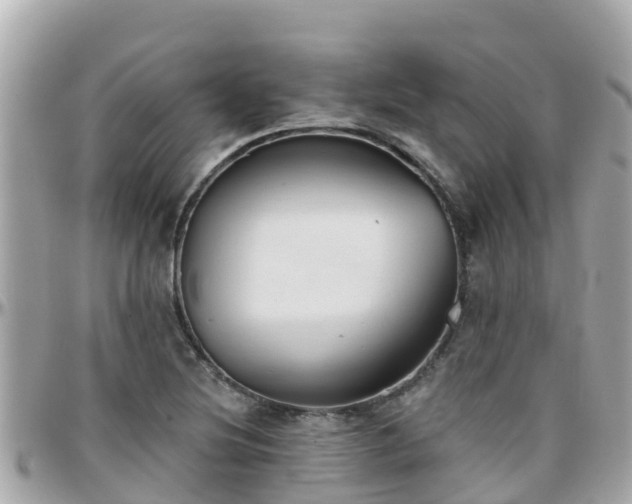 X0000096211220200801251027