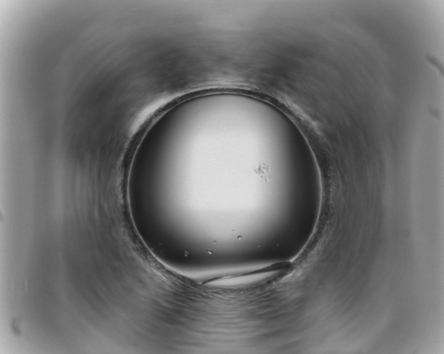 X0000096211222200801251027