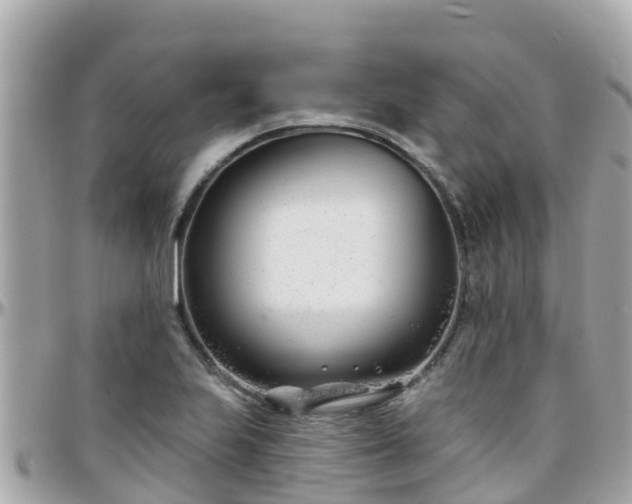 X0000096211223200801251027