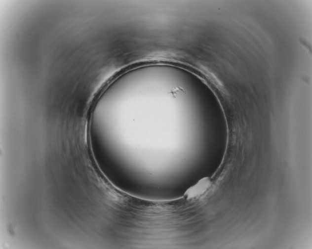 X0000096211224200801251027