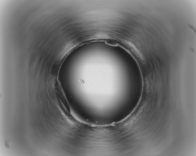 X0000096211225200801251027