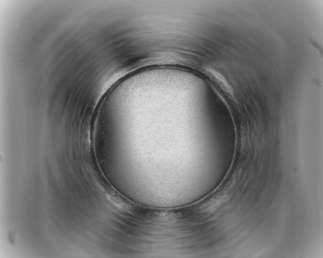 X0000096211226200801251027