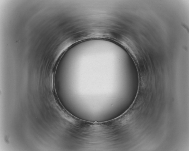 X0000096211227200801251027