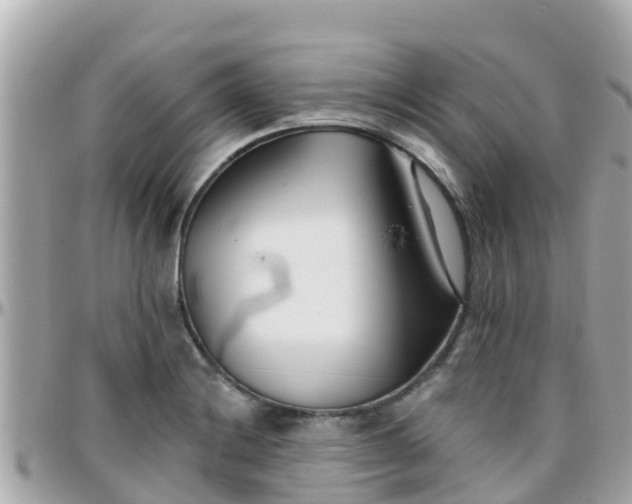 X0000096211228200801251027