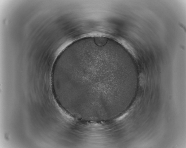 X0000096211229200801251027