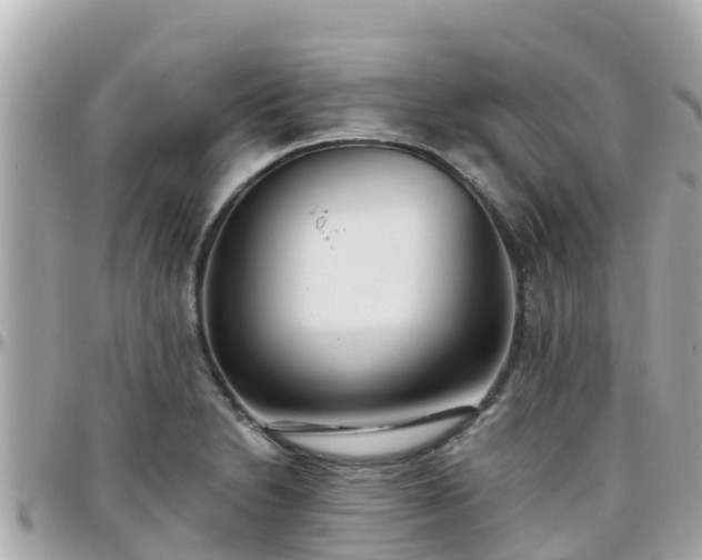 X0000096211230200801251027