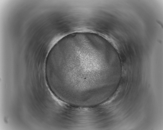 X0000096211231200801251027