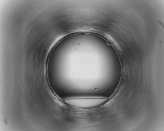 X0000096211232200801251027