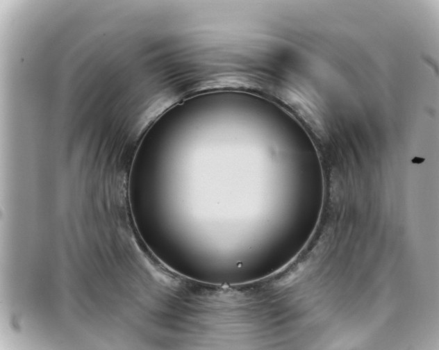 X0000096211233200801251027