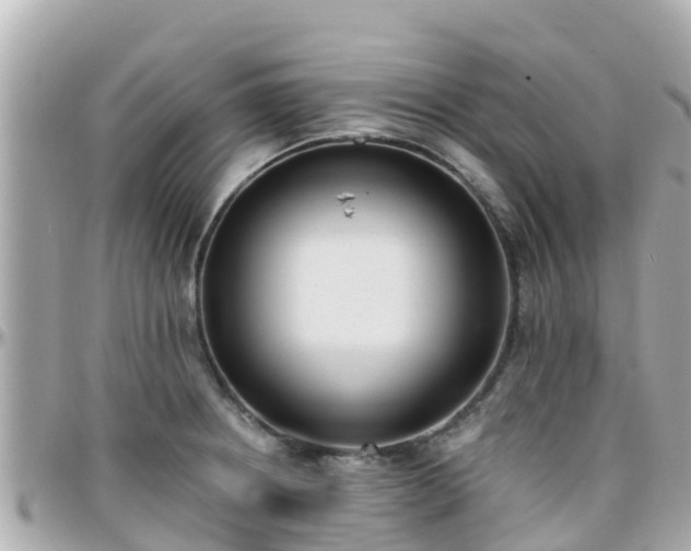 X0000096211234200801251027