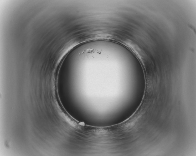 X0000096211235200801251027