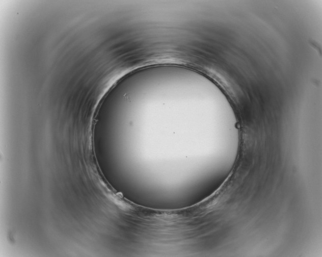 X0000096211236200801251027