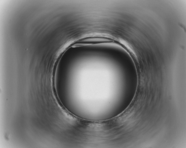 X0000096211237200801251027