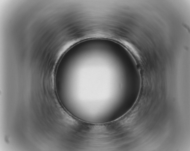 X0000096211238200801251027