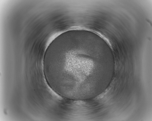 X0000096211239200801251027