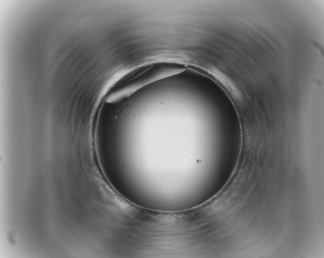 X0000096211240200801251027