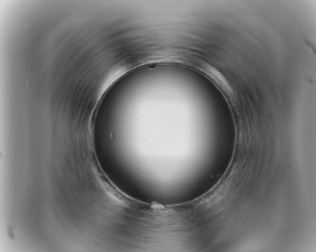 X0000096211242200801251027