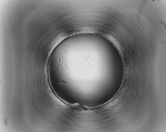 X0000096211243200801251027