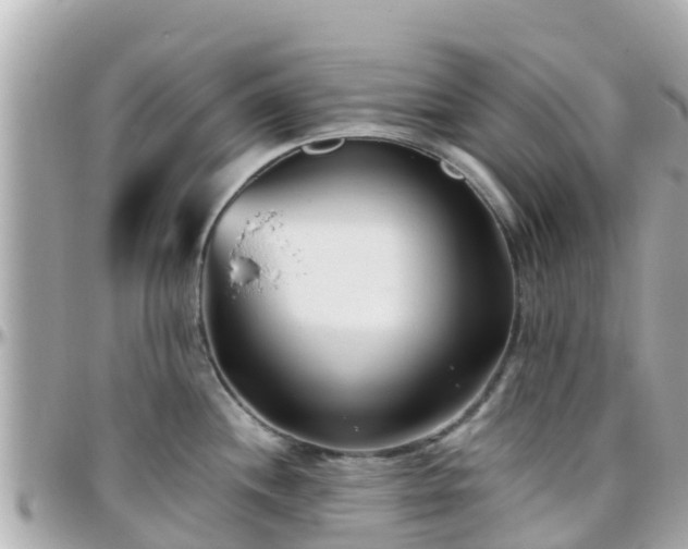 X0000096211244200801251027