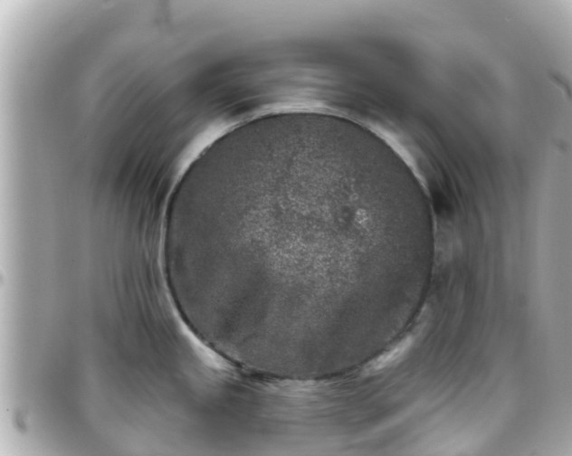 X0000096211245200801251027