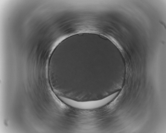 X0000096211246200801251027