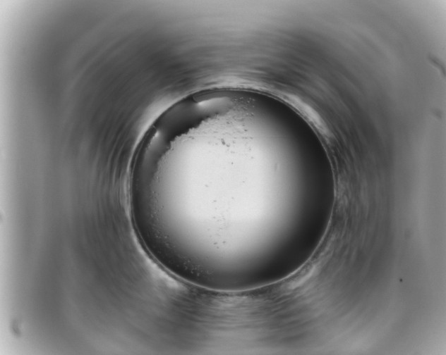 X0000096211247200801251027