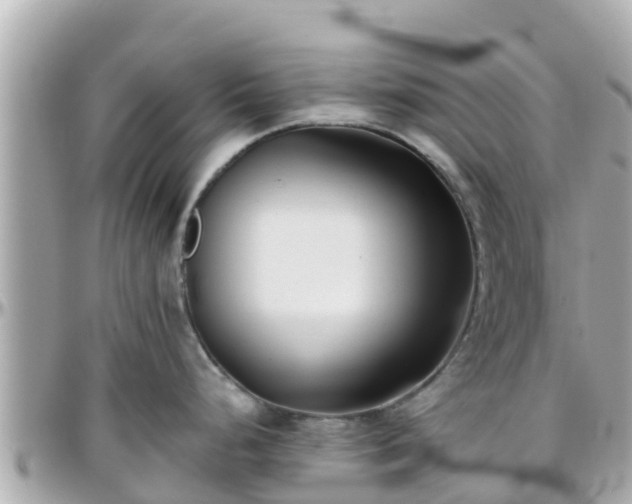 X0000096211248200801251027