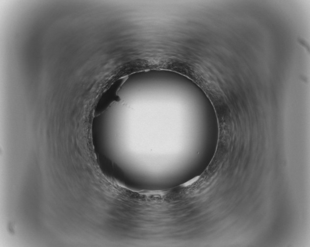 X0000096211249200801251027