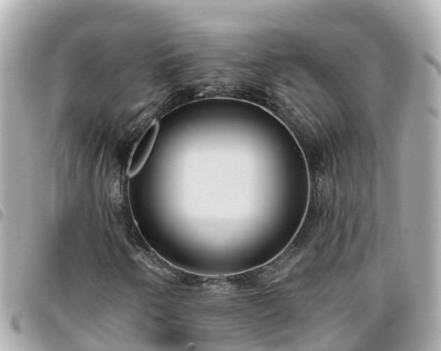 X0000096211250200801251027